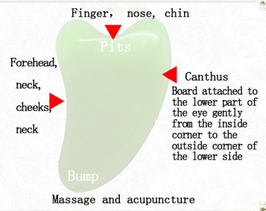 fa4dd790ff4dd7386d7a73c952e0c244